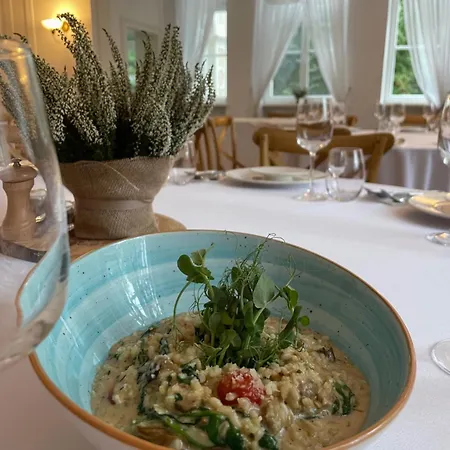 Palac W Debinie Resort *