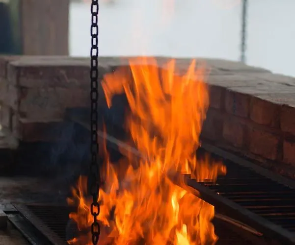 Resort Palac W Debinie